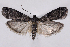  ( - 2011GM-0355)  @14 [ ] Copyright (2011) Gary McDonald Unspecified