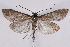  ( - 2011GM-0358)  @14 [ ] Copyright (2011) Gary McDonald Unspecified