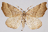  ( - 2011GM-0381)  @14 [ ] Copyright (2011) Gary McDonald Unspecified