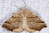  ( - 2011GM-0387)  @13 [ ] Copyright (2011) Gary McDonald Unspecified