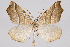  ( - 2011GM-0387)  @14 [ ] Copyright (2011) Gary McDonald Unspecified