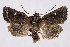  ( - 2011GM-0388)  @14 [ ] Copyright (2011) Gary McDonald Unspecified