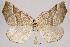  ( - 2011GM-0390)  @14 [ ] Copyright (2011) Gary McDonald Unspecified