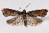  ( - 2011GM-0395)  @14 [ ] Copyright (2011) Gary McDonald Unspecified