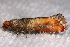 ( - 2011GM-0398)  @13 [ ] Copyright (2011) Gary McDonald Unspecified