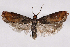 ( - 2011GM-0398)  @15 [ ] Copyright (2011) Gary McDonald Unspecified