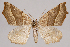  ( - 2011GM-0399)  @14 [ ] Copyright (2011) Gary McDonald Unspecified