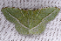  ( - 2011GM-0409)  @13 [ ] Copyright (2011) Gary McDonald Unspecified