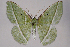  ( - 2011GM-0409)  @14 [ ] Copyright (2011) Gary McDonald Unspecified