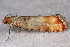  ( - 2011GM-0410)  @12 [ ] Copyright (2011) Gary McDonald Unspecified