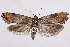  ( - 2011GM-0410)  @15 [ ] Copyright (2011) Gary McDonald Unspecified