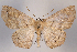  ( - 2011GM-0423)  @14 [ ] Copyright (2011) Gary McDonald Unspecified