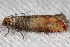  ( - 2011GM-0432)  @12 [ ] Copyright (2011) Gary McDonald Unspecified