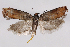  ( - 2011GM-0432)  @14 [ ] Copyright (2011) Gary McDonald Unspecified