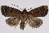  ( - 2011GM-0434)  @14 [ ] Copyright (2011) Gary McDonald Unspecified
