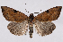  ( - 2011GM-0444)  @15 [ ] Copyright (2011) Gary McDonald Unspecified