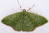  ( - 2011GM-0446)  @12 [ ] Copyright (2011) Gary McDonald Unspecified