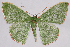  ( - 2011GM-0446)  @15 [ ] Copyright (2011) Gary McDonald Unspecified