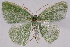  ( - 2011GM-0455)  @14 [ ] Copyright (2011) Gary McDonald Unspecified