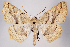  ( - 2011GM-0456)  @15 [ ] Copyright (2011) Gary McDonald Unspecified