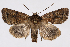  ( - 2011GM-0463)  @14 [ ] Copyright (2011) Gary McDonald Unspecified