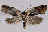  ( - 2011GM-0473)  @13 [ ] Copyright (2011) Gary McDonald Unspecified