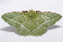  ( - 2011GM-0487)  @14 [ ] Copyright (2011) Gary McDonald Unspecified