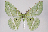  ( - 2011GM-0487)  @14 [ ] Copyright (2011) Gary McDonald Unspecified