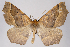  ( - 2011GM-0491)  @14 [ ] Copyright (2011) Gary McDonald Unspecified