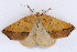  ( - 2011GM-0494)  @14 [ ] Copyright (2011) Gary McDonald Unspecified