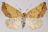  ( - 2011GM-0494)  @15 [ ] Copyright (2011) Gary McDonald Unspecified