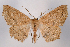  ( - 2011GM-0501)  @14 [ ] Copyright (2011) Gary McDonald Unspecified