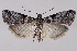  ( - 2011GM-0519)  @14 [ ] Copyright (2011) Gary McDonald Unspecified