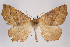  ( - 2011GM-0520)  @14 [ ] Copyright (2011) Gary McDonald Unspecified