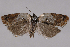  ( - 2011GM-0531)  @13 [ ] Copyright (2011) Gary McDonald Unspecified
