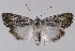  ( - 2011GM-0536)  @14 [ ] Copyright (2011) Gary McDonald Unspecified
