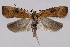  ( - 2011GM-0541)  @13 [ ] Copyright (2011) Gary McDonald Unspecified