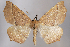  ( - 2011GM-0559)  @14 [ ] Copyright (2011) Gary McDonald Unspecified