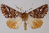  ( - 2011GM-0579)  @15 [ ] Copyright (2011) Gary McDonald Unspecified