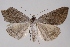  ( - 2011GM-0585)  @15 [ ] Copyright (2011) Gary McDonald Unspecified