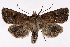  ( - 2011GM-0595)  @15 [ ] Copyright (2011) Gary McDonald Unspecified