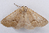  ( - 2011GM-0602)  @13 [ ] Copyright (2011) Gary McDonald Unspecified