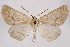  ( - 2011GM-0602)  @12 [ ] Copyright (2011) Gary McDonald Unspecified