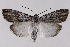  ( - 2011GM-0611)  @14 [ ] Copyright (2011) Gary McDonald Unspecified