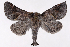  ( - 2011GM-0612)  @14 [ ] Copyright (2011) Gary McDonald Unspecified
