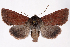  ( - 2011GM-0619)  @15 [ ] Copyright (2011) Gary McDonald Unspecified