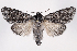  ( - 2011GM-0627)  @14 [ ] Copyright (2011) Gary McDonald Unspecified
