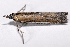  ( - 2011GM-0634)  @12 [ ] Copyright (2011) Gary McDonald Unspecified
