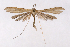  ( - 2011GM-0642)  @13 [ ] Copyright (2011) Gary McDonald Unspecified