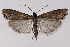  ( - 2011GM-0643)  @15 [ ] Copyright (2011) Gary McDonald Unspecified